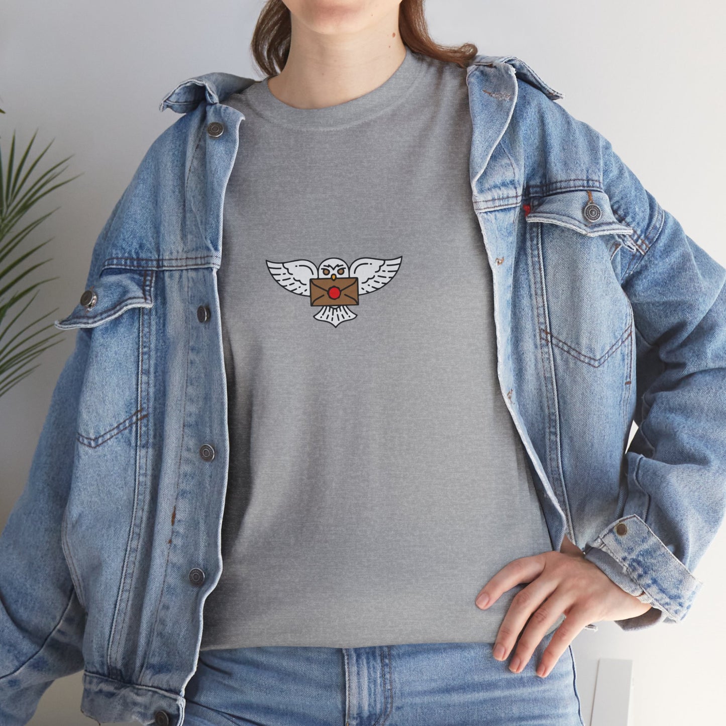 Wizard Academy inspired owl t-shirt, Unisex Heavy Cotton Tee