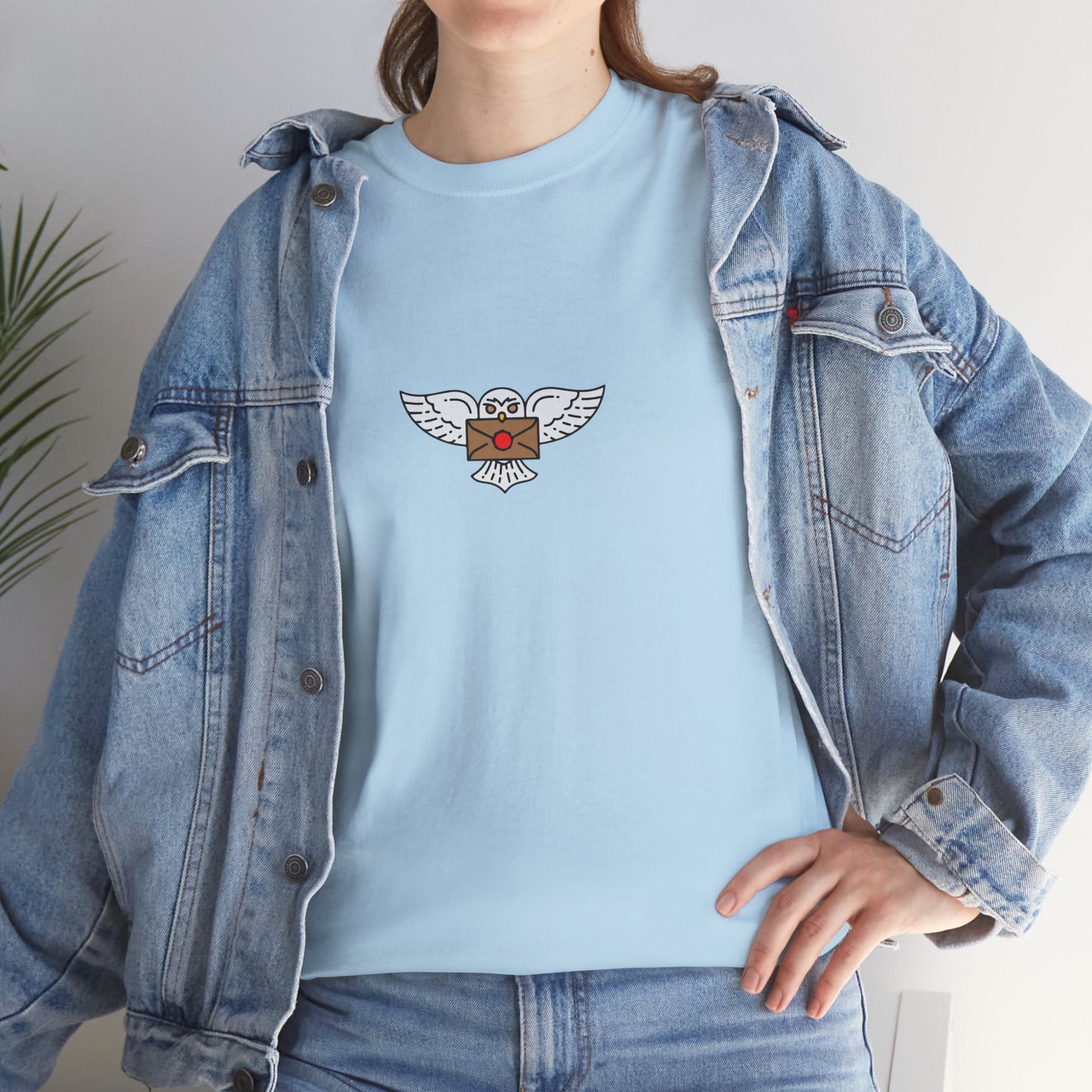 Wizard Academy inspired owl t-shirt, Unisex Heavy Cotton Tee