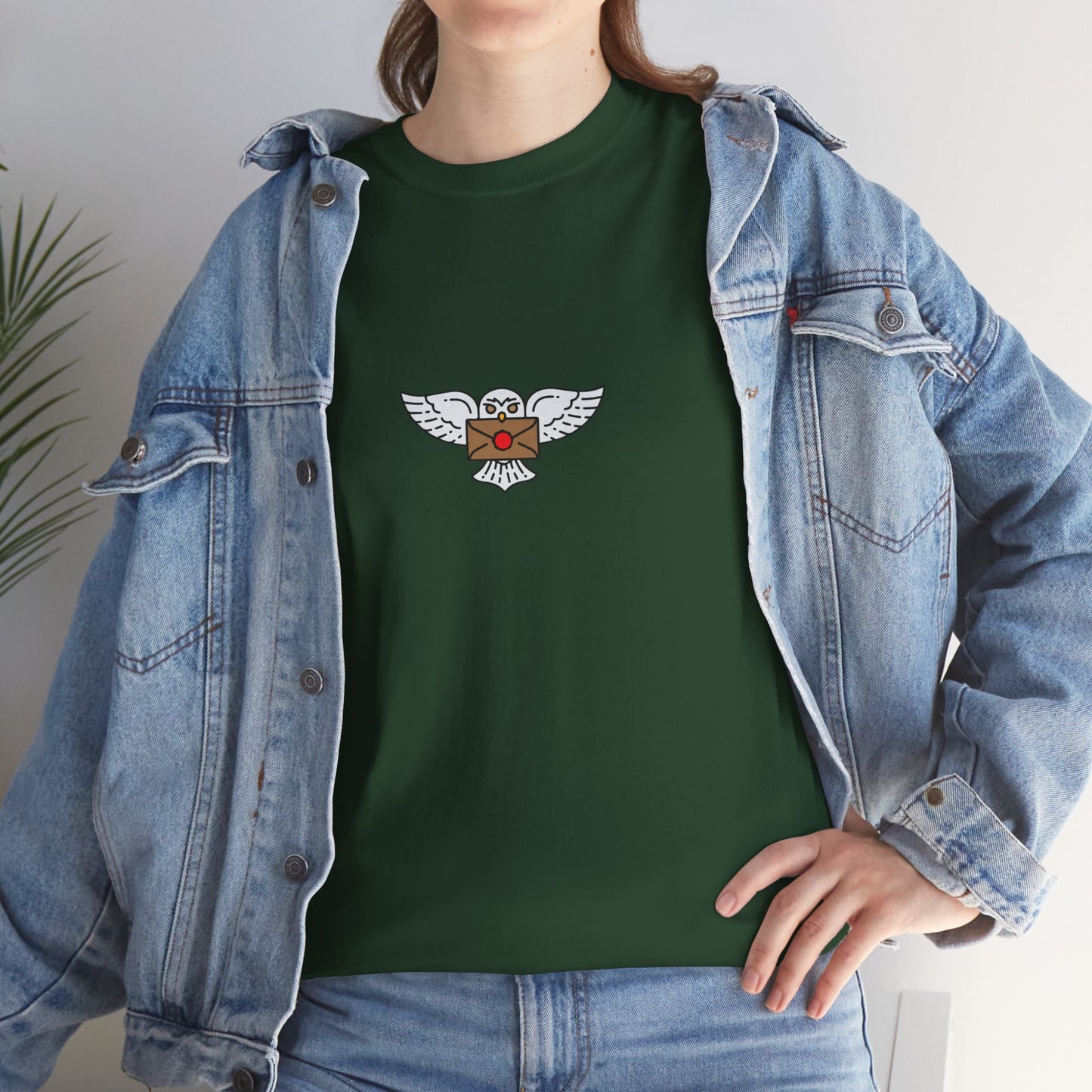Wizard Academy inspired owl t-shirt, Unisex Heavy Cotton Tee
