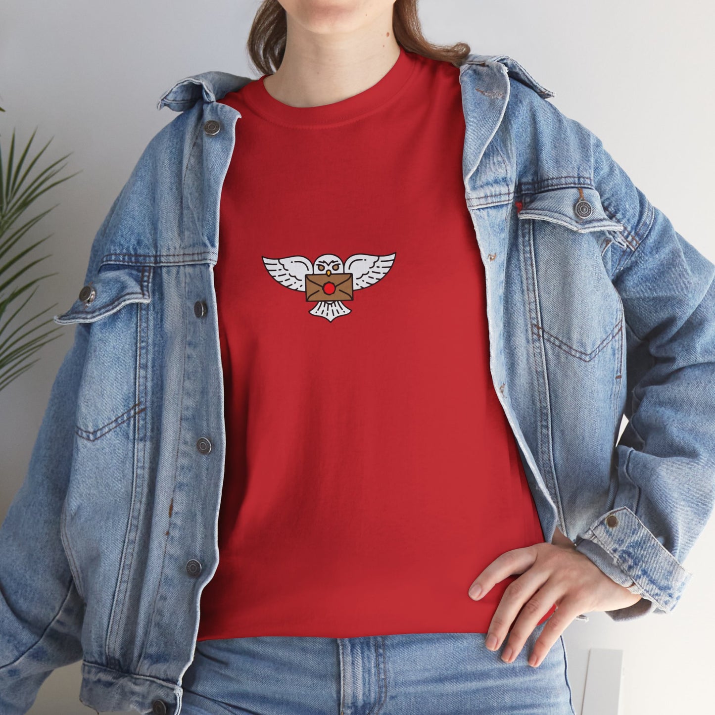 Wizard Academy inspired owl t-shirt, Unisex Heavy Cotton Tee