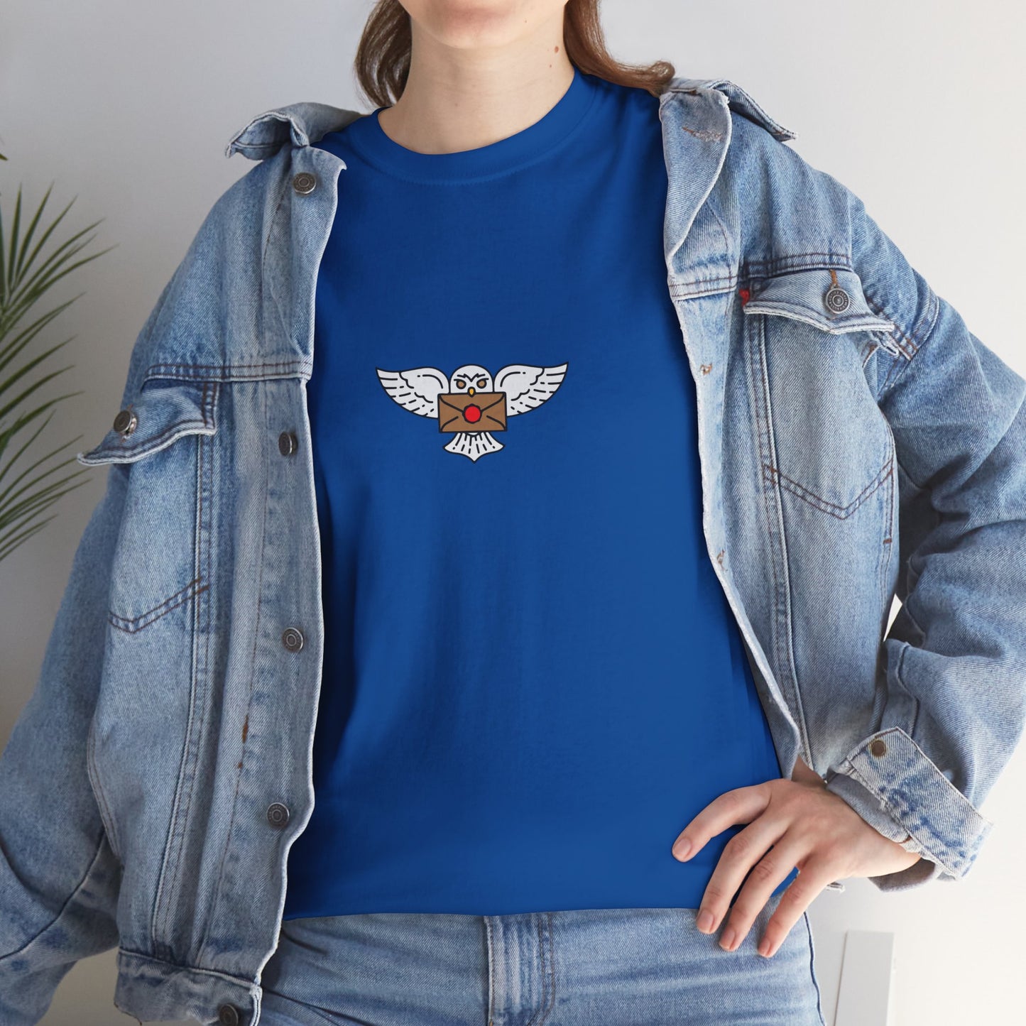 Wizard Academy inspired owl t-shirt, Unisex Heavy Cotton Tee